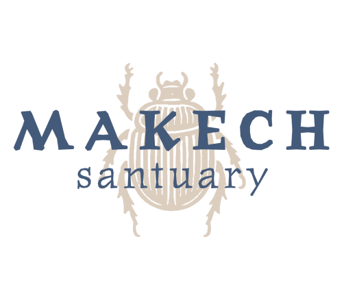 Logo Makech
